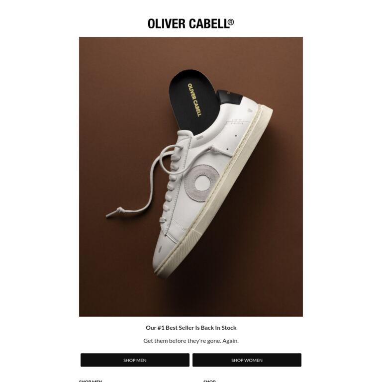 Our #1 Is Back In Stock - newsletter screenshot