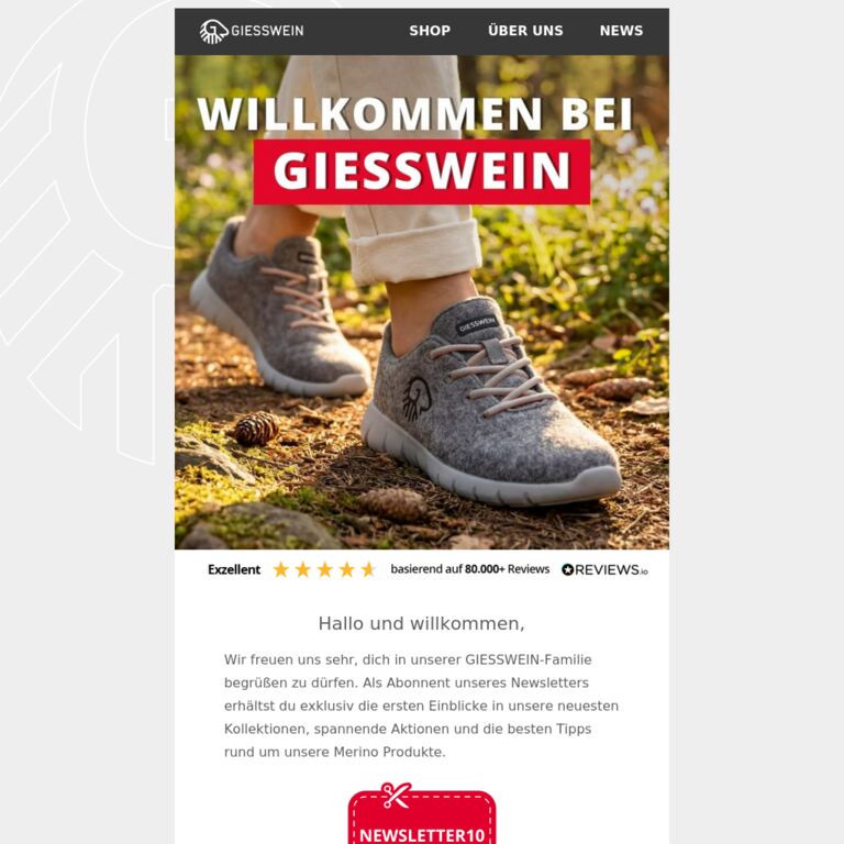 Willkommensgeschenk: 10% auf deine 1. Bestellung - newsletter screenshot