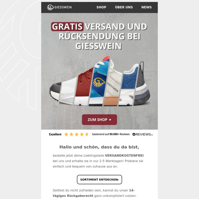 So geht's: Schnelle Lieferung und einfache Retoure, kostenlos! - newsletter screenshot