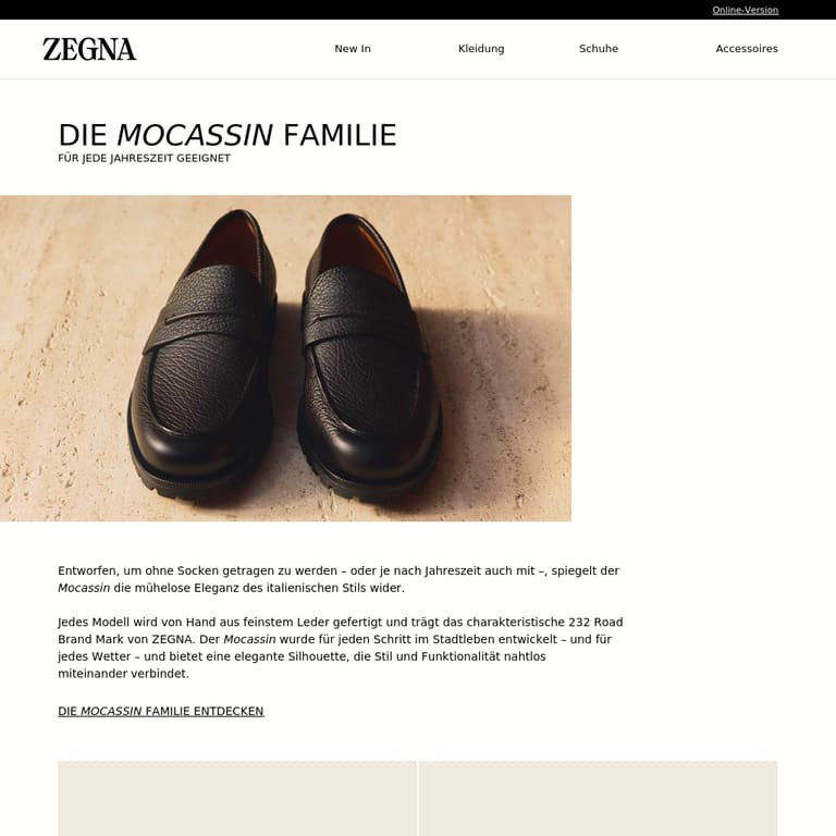 Die Mocassin Familie - newsletter screenshot