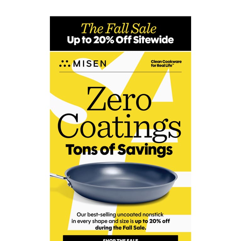 A Rare Deal on Carbon Nonstick™ - newsletter screenshot