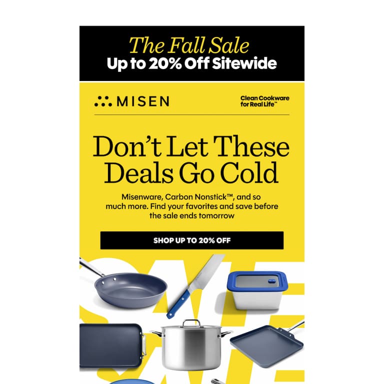 Ends Tomorrow: Up to 20% Off - newsletter screenshot