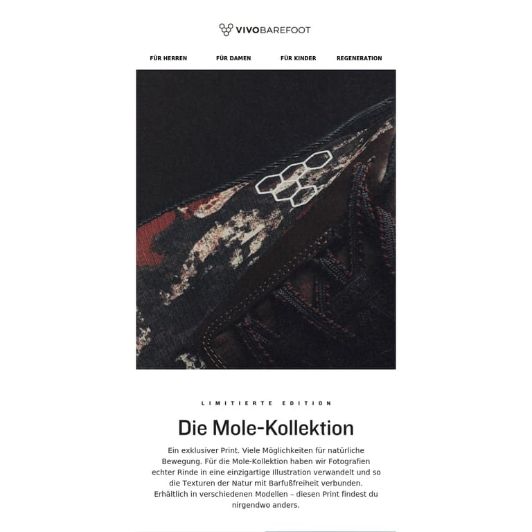 Unsere limitierte Mole-Print-Edition - newsletter screenshot