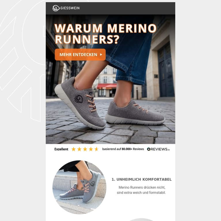 Kennst du die Vorteile der Giesswein Merino Runners? - newsletter screenshot