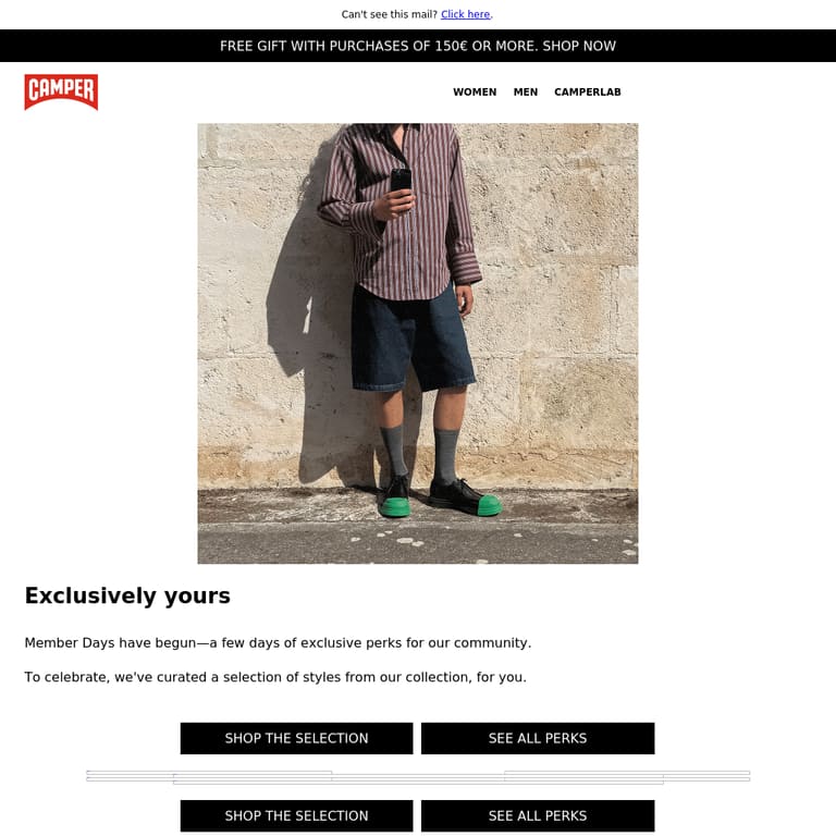 Member Days: Your Curated Edit - newsletter screenshot