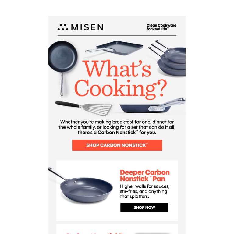 A Carbon Nonstick™ Pan for Every Meal 🍳 - newsletter screenshot