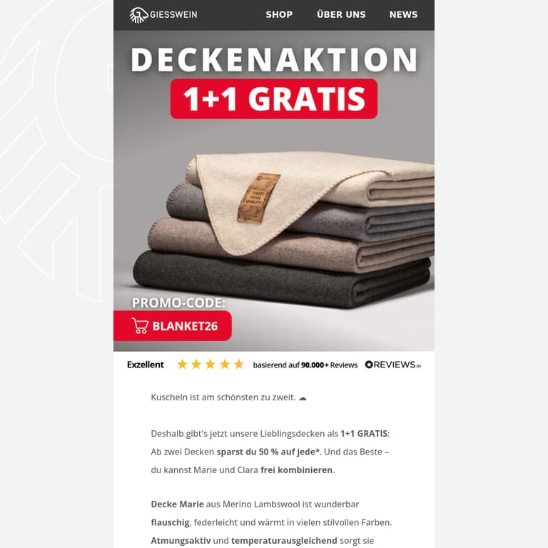 ✨ 1+1 GRATIS auf Wolldecken - newsletter screenshot