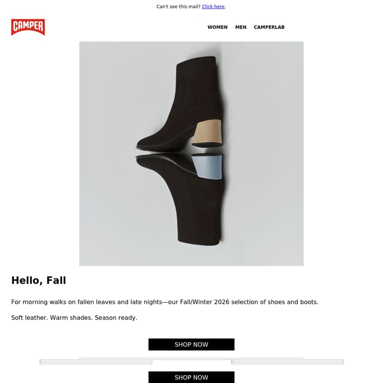 Just Landed | Fall Arrivals - newsletter screenshot