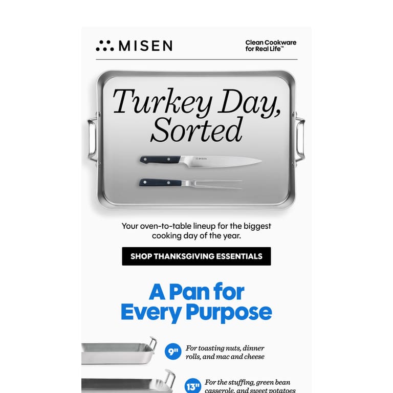 Hosting Thanksgiving This Year? - newsletter screenshot