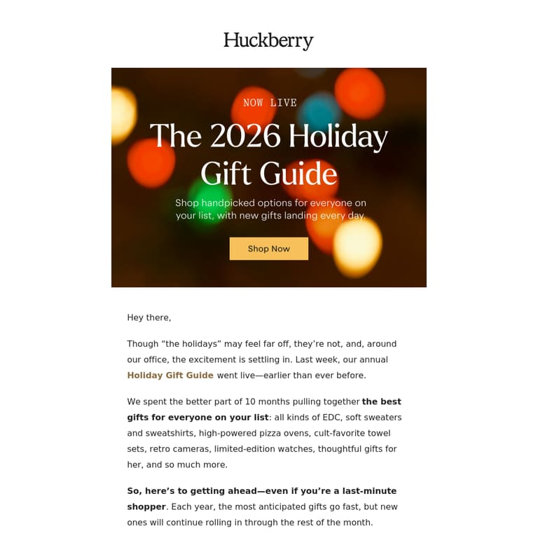Now Live: 2026 Holiday Gift Guide - newsletter screenshot