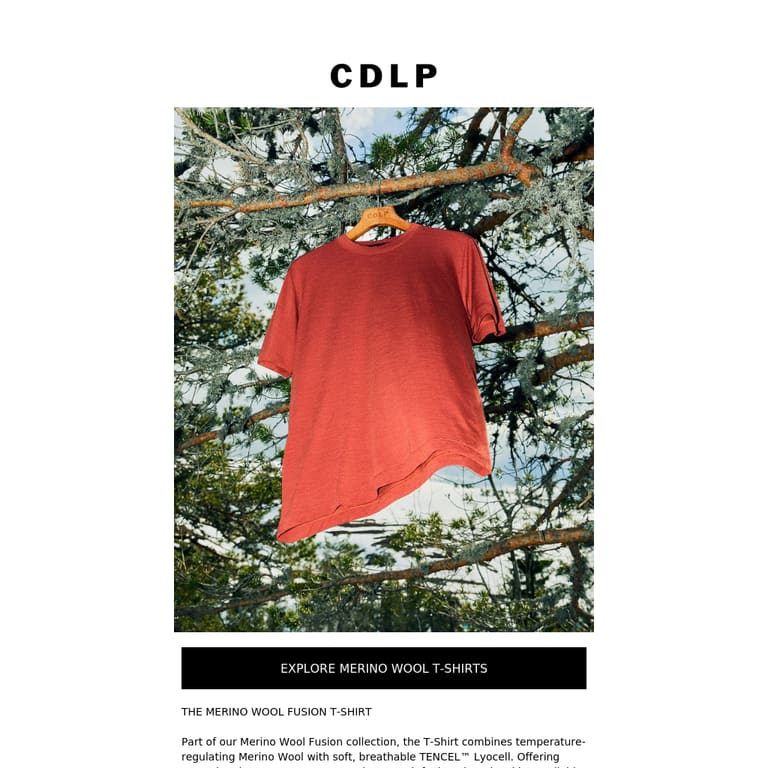 The Merino Wool Fusion T-Shirt - newsletter screenshot