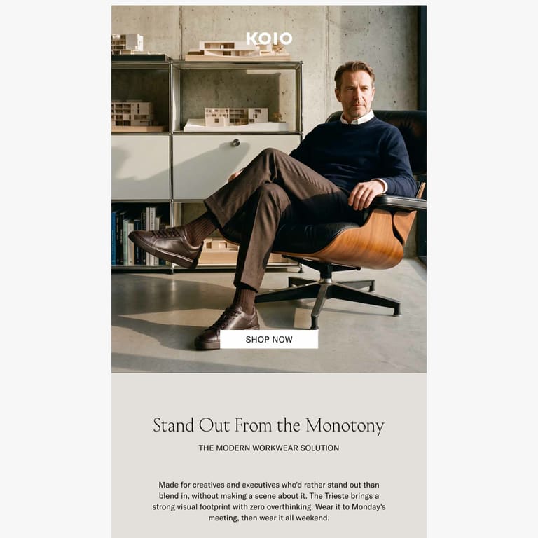 The Trieste: Built for Modern Professionals - newsletter screenshot