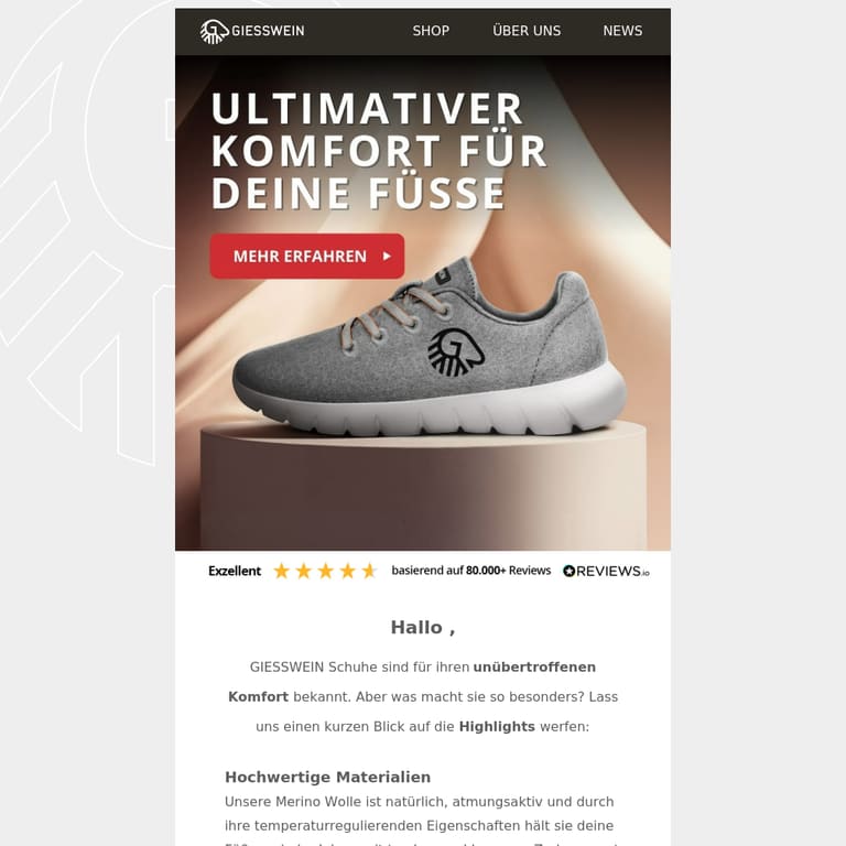 Ultimativer Komfort für deine Füsse 👟 - newsletter screenshot